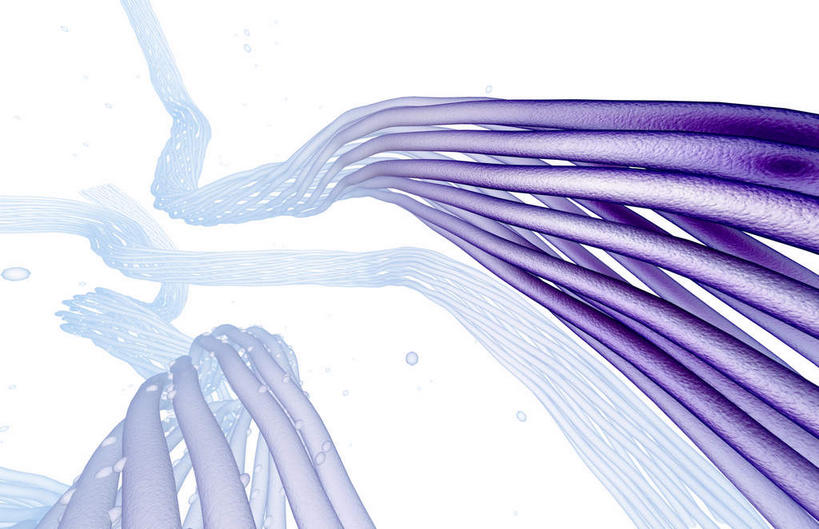 无人,横图,插画,室内,特写,白天,白色背景,正面,数码,科技,静物,阴影,网络,医学,细胞,高光,几何,计算机图形,合成,图画,画,蓝色,人体,电脑合成图,数码合成图,生物学,漫画,生理学,写实,具体,具象,神经纤维,轴突,彩图,神经系统