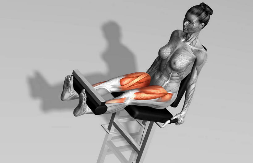 动脉,静脉,骨骼,肌肉,健壮,一个人,无人,坐,横图,俯视,插画,室内,特写,白天,白色背景,锻炼,运动,数码,科技,静物,仅一个年轻女性,仅一个女性,仅一个人,阴影,网络,医学,骨头,高光,几何,计算机图形,合成,图画,抬腿,注视,运动器械,画,模型,观察,看,靠,靠着,倚靠,健康,健身器械,活力,力量,人体,观看,青春,电脑合成图,数码合成图,骨架,察看,生物学,倚着,强壮,关注,健身器材,漫画,生理学,写实,具体,具象,股外侧肌,腓长肌,趾长伸肌,体育,年轻女性,女人,女性,坐着,彩图,高角度拍摄,全身,健身,运动器材