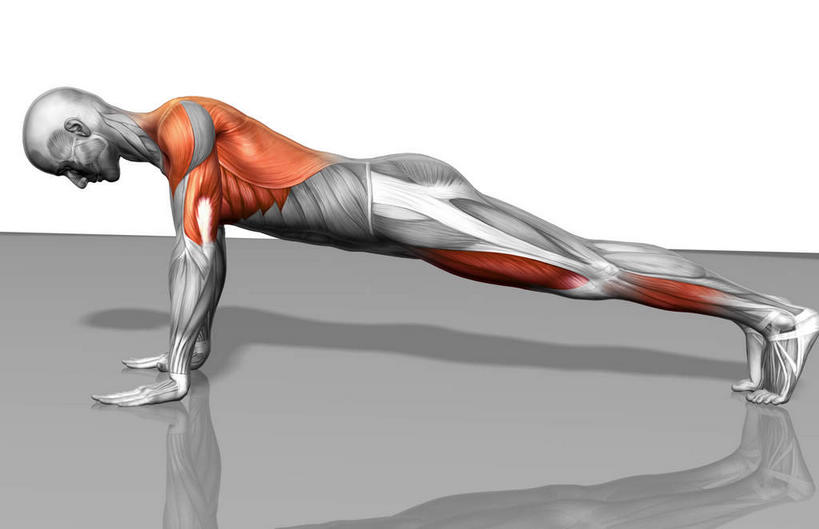 动脉,静脉,骨骼,肌肉,健壮,一个人,无人,俯卧撑,横图,插画,室内,特写,白天,白色背景,侧面,数码,科技,静物,仅一个男性,仅一个人,撑,阴影,网络,医学,骨头,高光,几何,计算机图形,合成,图画,注视,画,仅一个年轻男性,模型,低头,观察,看,健康,活力,力量,人体,观看,青春,踮脚,电脑合成图,数码合成图,骨架,察看,生物学,撑着,强壮,关注,漫画,肱二头肌,生理学,写实,具体,具象,背阔肌,腓长肌,男人,男性,年轻男性,彩图,全身