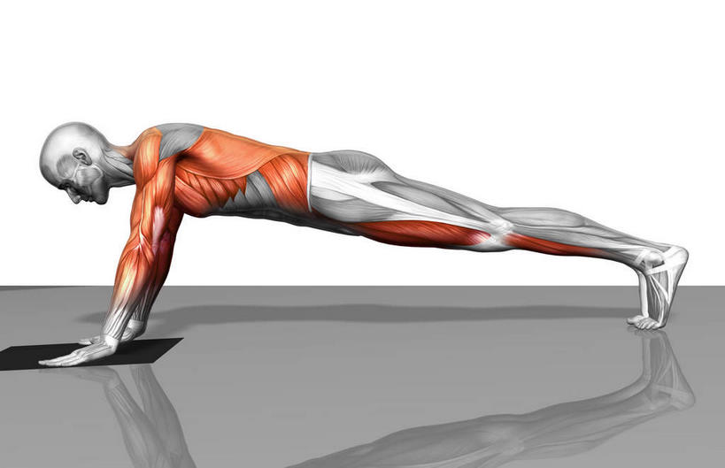 动脉,静脉,骨骼,肌肉,健壮,一个人,无人,俯卧撑,横图,插画,室内,特写,白天,白色背景,侧面,数码,科技,静物,仅一个男性,仅一个人,撑,阴影,网络,医学,骨头,高光,几何,计算机图形,合成,图画,注视,画,仅一个年轻男性,模型,低头,观察,看,健康,活力,力量,人体,观看,青春,踮脚,电脑合成图,数码合成图,骨架,察看,生物学,撑着,强壮,关注,漫画,肱二头肌,生理学,写实,具体,具象,背阔肌,外斜肌,胫前肌,男人,男性,年轻男性,彩图,全身