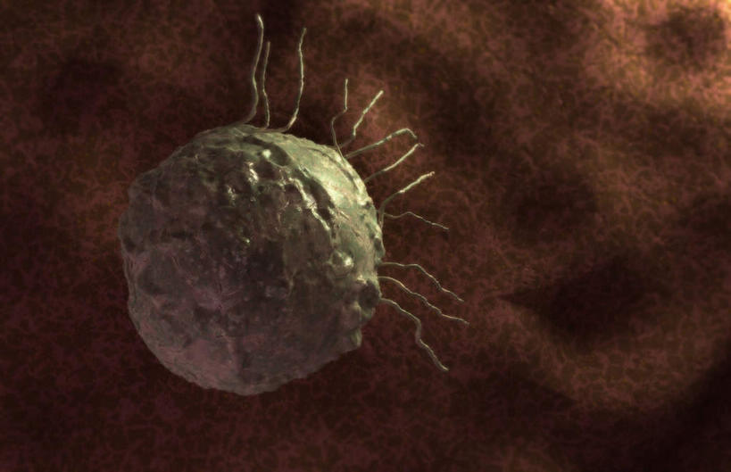 无人,横图,插画,室内,特写,白天,正面,数码,科技,微生物,阴影,灰色背景,网络,医学,高光,几何,计算机图形,合成,图画,画,生物,电脑合成图,数码合成图,医疗,病毒,生物学,漫画,癌症,写实,具体,具象,白血病,寄生,生命体,生物病毒,彩图,干细胞