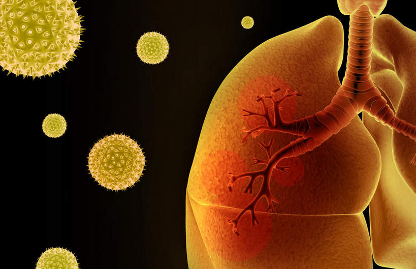 内脏,肺,气管,动脉,静脉,无人,横图,插画,室内,特写,白天,正面,数码,科技,静物,阴影,黑色背景,网络,医学,高光,几何,计算机图形,合成,图画,画,模型,人体,电脑合成图,数码合成图,疾病,生物学,人体器官,器官,哮喘,漫画,生理学,写实,具体,具象,肺部,肺脏,彩图