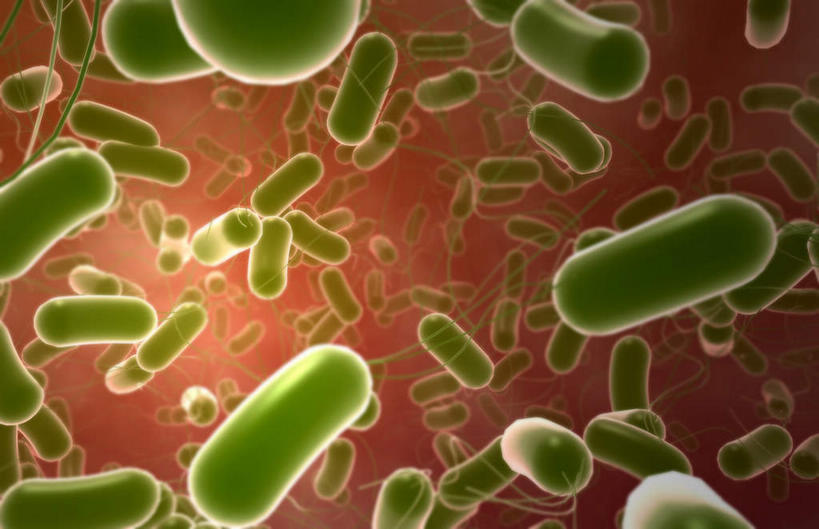 无人,横图,插画,室内,特写,白天,白色背景,正面,数码,科技,微生物,阴影,网络,医学,高光,几何,计算机图形,合成,图画,画,生物,电脑合成图,数码合成图,医疗,病毒,生物学,漫画,写实,具体,具象,寄生,生命体,生物病毒,彩图,沙门氏菌