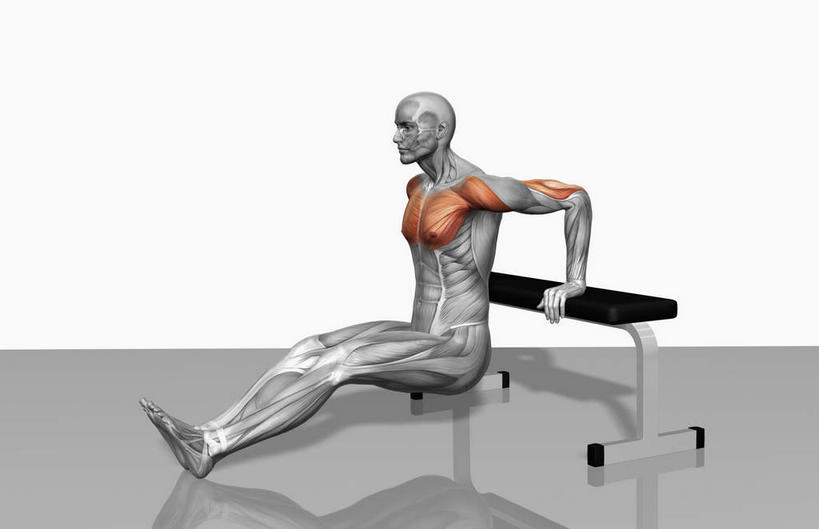 肌肉,健壮,无人,健身房,横图,插画,室内,特写,白天,白色背景,正面,抽象,数码,科技,阴影,网络,高光,几何,计算机图形,合成,图画,画,健康,活力,夸张,力量,青春,电脑合成图,数码合成图,强壮,特效,漫画,深奥,二头肌,彩图