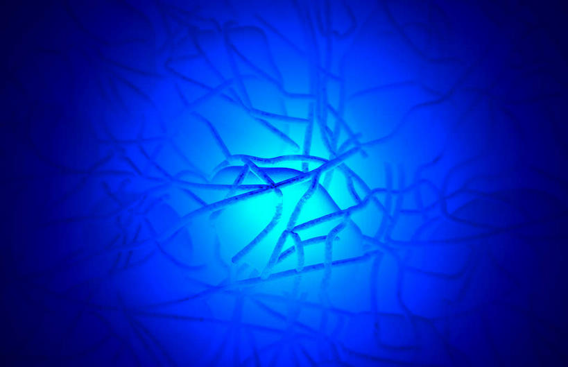 无人,横图,插画,室内,特写,白天,白色背景,正面,数码,科技,静物,阴影,网络,医学,细胞,高光,几何,计算机图形,合成,图画,画,血液,人体,电脑合成图,数码合成图,生物学,漫画,生理学,写实,具体,具象,血块,彩图