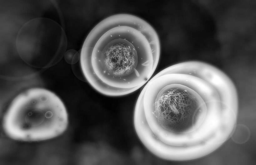 无人,横图,黑白,插画,室内,特写,白天,正面,数码,科技,静物,阴影,黑色背景,网络,医学,细胞,高光,几何,计算机图形,合成,图画,画,人体,电脑合成图,数码合成图,生物学,漫画,生理学,写实,具体,具象,有丝分裂