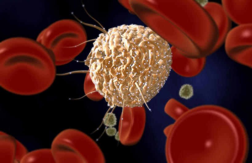 无人,横图,插画,室内,特写,白天,白色背景,正面,数码,科技,静物,阴影,网络,医学,细胞,高光,几何,计算机图形,合成,图画,画,人体,电脑合成图,数码合成图,生物学,血细胞,漫画,生理学,写实,具体,具象,彩图,干细胞