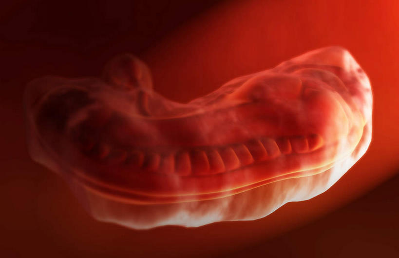 无人,横图,插画,室内,特写,白天,白色背景,正面,数码,科技,阴影,科学,网络,医学,高光,几何,计算机图形,合成,图画,画,怀孕,生长,成长,电脑合成图,数码合成图,医疗,胎儿,科学技术,发育,人工受精,漫画,孕育,试管婴儿,写实,具体,具象,彩图,胚胎,体外受精,体外受孕