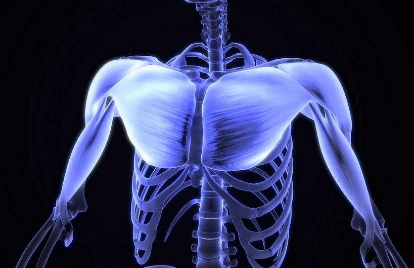 骨骼,肌肉,健壮,无人,横图,插画,室内,特写,白天,正面,抽象,数码,科技,阴影,黑色背景,网络,骨头,高光,几何,计算机图形,合成,图画,画,健康,活力,夸张,力量,青春,电脑合成图,数码合成图,骨架,强壮,胸肌,特效,漫画,深奥,二头肌,彩图