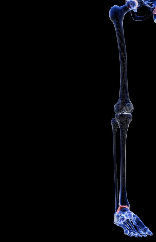 动脉,静脉,骨骼,无人,医院,竖图,插画,x光片,室内,特写,白天,正面,数码,科技,静物,阴影,局部,辐射,科学,网络,医学,骨头,高光,几何,计算机图形,合成,图画,画,模型,人体,部分,电脑合成图,数码合成图,骨架,医疗,生物学,科学技术,x射线,x光,漫画,医疗机构,生理学,写实,具体,具象,髌骨,腓骨,跗骨,股骨,胫骨,趾骨,蹠骨,半身,彩图,病院,诊所,电磁波,电磁辐射