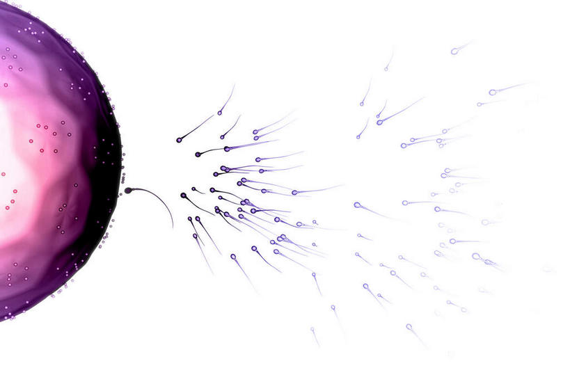 无人,横图,插画,室内,特写,白天,白色背景,正面,数码,科技,静物,阴影,网络,医学,细胞,高光,几何,计算机图形,合成,图画,画,精子,人体,电脑合成图,数码合成图,生物学,卵子,漫画,生理学,写实,具体,具象,彩图,受精卵