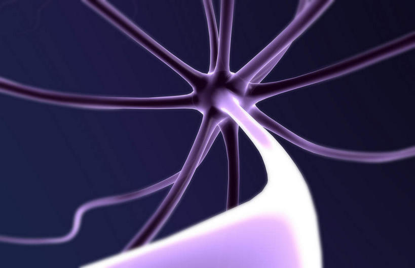 无人,横图,插画,室内,特写,白天,正面,数码,科技,静物,阴影,网络,医学,细胞,枝条,高光,几何,计算机图形,合成,图画,画,分叉,人体,电脑合成图,数码合成图,生物学,漫画,生理学,写实,具体,具象,神经细胞,运动神经元,彩图