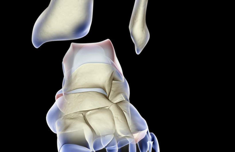 动脉,静脉,骨骼,无人,医院,横图,插画,x光片,室内,特写,白天,正面,数码,科技,静物,阴影,局部,辐射,科学,网络,医学,骨头,高光,几何,计算机图形,合成,图画,画,模型,人体,部分,电脑合成图,数码合成图,骨架,医疗,生物学,科学技术,x射线,x光,漫画,医疗机构,生理学,写实,具体,具象,跖骨,足骨,裸关节,半身,彩图,病院,诊所,电磁波,电磁辐射