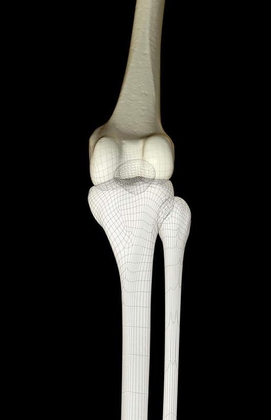动脉,静脉,骨骼,无人,竖图,插画,室内,特写,白天,正面,数码,科技,静物,阴影,黑色背景,局部,网络,医学,骨头,高光,几何,计算机图形,合成,图画,画,模型,人体,部分,电脑合成图,数码合成图,骨架,生物学,漫画,生理学,写实,具体,具象,髌骨,肱骨内上髁,外侧髁,外上髁,半身,彩图
