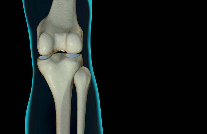 动脉,静脉,骨骼,无人,横图,插画,x光片,室内,特写,白天,正面,数码,科技,静物,阴影,黑色背景,局部,辐射,科学,网络,医学,骨头,光芒,高光,几何,计算机图形,合成,图画,画,蓝色,模型,人体,部分,电脑合成图,数码合成图,骨架,医疗,生物学,科学技术,x射线,x光,漫画,生理学,写实,具体,具象,髌骨,内上髁,外上髁,半身,彩图,电磁波,电磁辐射