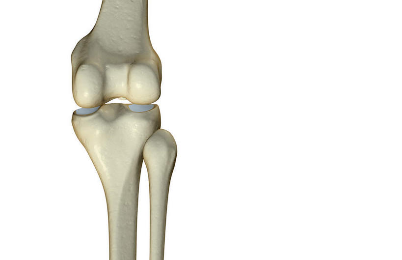 动脉,静脉,骨骼,无人,横图,插画,室内,特写,白天,白色背景,正面,数码,科技,静物,阴影,局部,网络,医学,骨头,高光,几何,计算机图形,合成,图画,画,模型,人体,部分,电脑合成图,数码合成图,骨架,生物学,漫画,生理学,写实,具体,具象,髌骨,肱骨内上髁,外侧髁,外上髁,半身,彩图