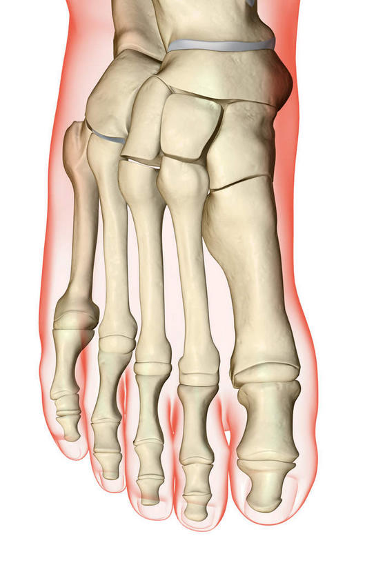 动脉,静脉,骨骼,无人,竖图,插画,x光片,室内,特写,白天,白色背景,正面,数码,科技,静物,阴影,辐射,科学,网络,医学,骨头,高光,几何,计算机图形,合成,图画,画,模型,人体,电脑合成图,数码合成图,骨架,医疗,生物学,科学技术,x射线,x光,漫画,生理学,写实,具体,具象,趾骨,跖骨,足骨,彩图,电磁波,电磁辐射
