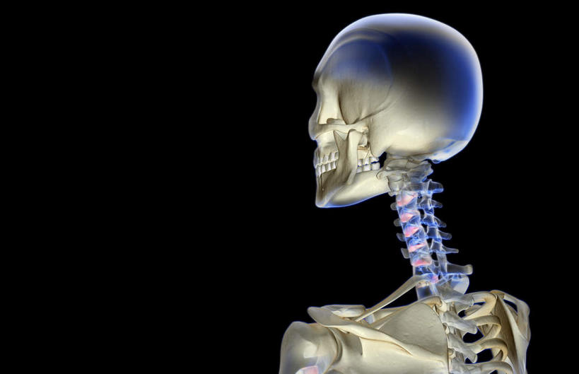 颅骨,锁骨,肩胛骨,动脉,静脉,骨骼,脊椎,无人,横图,插画,x光片,室内,特写,白天,正面,数码,科技,静物,阴影,黑色背景,辐射,科学,网络,医学,头骨,骨头,高光,几何,计算机图形,合成,图画,画,模型,人体,电脑合成图,数码合成图,骨架,医疗,生物学,科学技术,x射线,x光,漫画,生理学,写实,具体,具象,颈椎,椎骨,脊椎骨,面颅骨,脊柱,头盖骨,彩图,电磁波,电磁辐射