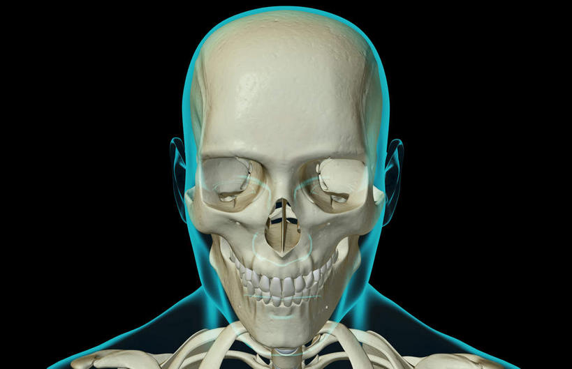 颅骨,动脉,静脉,骨骼,脊椎,无人,横图,插画,x光片,室内,特写,白天,正面,数码,科技,静物,阴影,黑色背景,辐射,科学,网络,医学,头骨,线条,骨头,高光,几何,计算机图形,合成,图画,画,模型,人体,轮廓,电脑合成图,数码合成图,骨架,医疗,生物学,科学技术,x射线,x光,漫画,生理学,写实,具体,具象,颚骨,颈椎,椎骨,脊椎骨,面颊骨,面颅骨,下颌骨,脊柱,头盖骨,半身,彩图,电磁波,电磁辐射