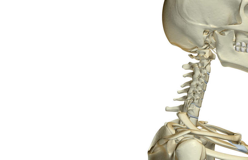 颅骨,锁骨,动脉,静脉,骨骼,胸骨,脊椎,无人,横图,插画,x光片,室内,特写,白天,白色背景,正面,数码,科技,静物,阴影,辐射,科学,网络,医学,头骨,骨头,高光,几何,计算机图形,合成,图画,画,模型,人体,电脑合成图,数码合成图,骨架,医疗,生物学,科学技术,x射线,x光,漫画,生理学,写实,具体,具象,颚骨,颈椎,椎骨,脊椎骨,面颅骨,下颌骨,脊柱,头盖骨,彩图,电磁波,电磁辐射