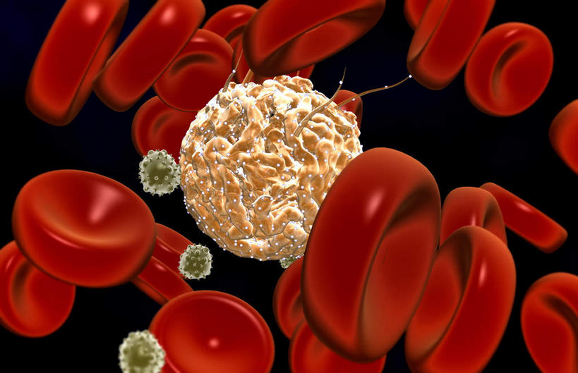 无人,横图,插画,室内,特写,白天,正面,数码,科技,静物,许多,阴影,黑色背景,网络,红血球,医学,细胞,高光,几何,计算机图形,合成,图画,画,人体,电脑合成图,数码合成图,生物学,血细胞,漫画,白细胞,生理学,写实,具体,具象,红细胞,单核细胞,红血细胞,嗜碱性粒细胞,嗜酸性粒细胞,中性粒细胞,彩图,干细胞