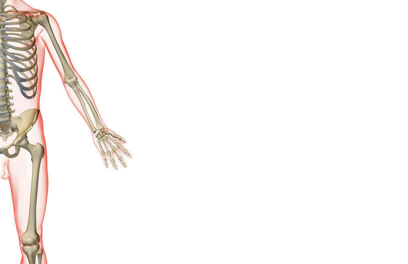 锁骨,肩胛骨,动脉,静脉,骨骼,肋骨,脊椎,骨盆,无人,横图,插画,x光片,室内,特写,白天,白色背景,正面,数码,科技,静物,阴影,辐射,科学,网络,医学,头骨,骨头,高光,几何,计算机图形,合成,图画,画,模型,人体,电脑合成图,数码合成图,骨架,医疗,生物学,科学技术,x射线,手骨,盆骨,x光,漫画,生理学,写实,具体,具象,肱骨,股骨,胫骨,椎骨,脊椎骨,坐骨,脊柱,彩图,电磁波,电磁辐射