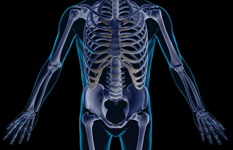 锁骨,肩胛骨,动脉,静脉,骨骼,肋骨,脊椎,骨盆,无人,横图,插画,x光片,室内,特写,白天,正面,数码,科技,静物,阴影,黑色背景,辐射,科学,网络,医学,骨头,高光,几何,计算机图形,合成,图画,画,模型,人体,电脑合成图,数码合成图,骨架,医疗,生物学,科学技术,x射线,手骨,盆骨,x光,漫画,生理学,写实,具体,具象,肱骨,股骨,桡骨,指骨,椎骨,脊椎骨,坐骨,脊柱,半身,彩图,电磁波,电磁辐射