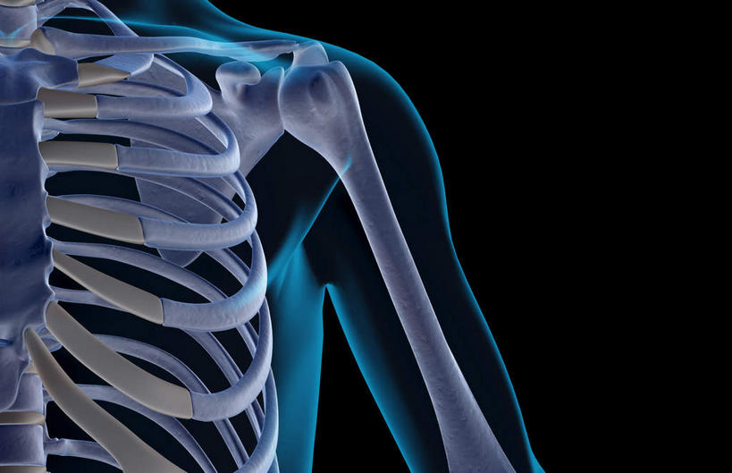 肩关节,肩胛骨,动脉,静脉,骨骼,肋骨,无人,横图,插画,x光片,室内,特写,白天,正面,数码,科技,静物,阴影,黑色背景,辐射,科学,网络,医学,线条,骨头,高光,几何,计算机图形,合成,图画,画,模型,人体,轮廓,电脑合成图,数码合成图,骨架,医疗,生物学,科学技术,x射线,x光,漫画,生理学,写实,具体,具象,肱骨,半身,彩图,电磁波,电磁辐射