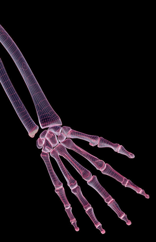 动脉,静脉,骨骼,无人,竖图,插画,x光片,室内,特写,白天,正面,数码,科技,静物,阴影,黑色背景,辐射,科学,网络,医学,骨头,高光,几何,计算机图形,合成,图画,画,模型,人体,电脑合成图,数码合成图,骨架,医疗,生物学,科学技术,x射线,手骨,x光,漫画,生理学,写实,具体,具象,桡骨,指骨,手舟骨,彩图,电磁波,电磁辐射