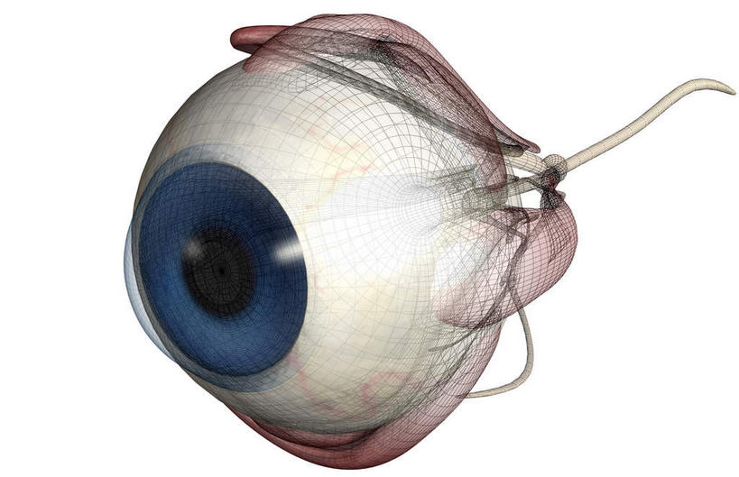 眼睛,无人,横图,插画,室内,特写,白天,白色背景,正面,数码,科技,静物,瞳孔,阴影,网络,医学,高光,几何,计算机图形,合成,图画,画,眼部,电脑合成图,数码合成图,生物学,视网膜,眼球,器官,漫画,生理学,写实,具体,具象,巩膜,角膜,视觉器官,眼房,眼球壁,眼,彩图