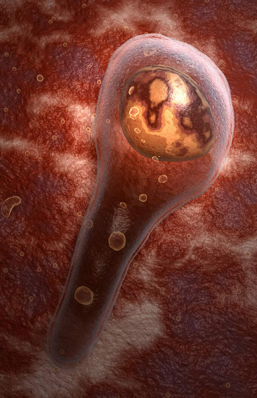 无人,竖图,插画,室内,白天,白色背景,正面,数码,科技,静物,阴影,网络,细菌,医学,细胞,高光,几何,计算机图形,合成,图画,画,人体,电脑合成图,数码合成图,生物学,漫画,生理学,写实,具体,具象,破伤风杆菌,彩图