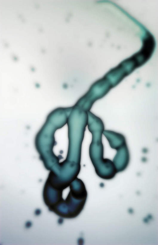 无人,竖图,插画,室内,特写,白天,正面,数码,科技,静物,阴影,黑色背景,网络,医学,高光,几何,计算机图形,合成,图画,画,人体,电脑合成图,数码合成图,病毒,疾病,生物学,漫画,生理学,写实,具体,具象,传染,传染病,伊波拉病毒,埃博拉病毒,埃博拉出血热,慢性病,致命,埃博拉,出血热,伊波拉,彩图,感染