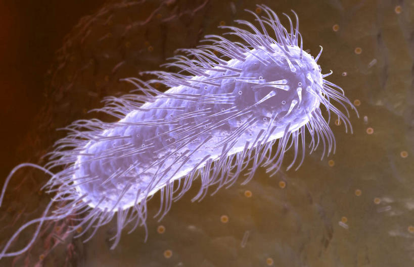 无人,横图,插画,室内,特写,白天,正面,数码,科技,静物,阴影,黑色背景,网络,细菌,医学,细胞,高光,几何,计算机图形,合成,图画,画,人体,电脑合成图,数码合成图,病毒,生物学,真菌,漫画,生理学,写实,具体,具象,鞭毛,幽门螺杆菌,彩图,感染