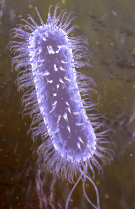 无人,竖图,插画,室内,特写,白天,正面,数码,科技,静物,阴影,黑色背景,网络,细菌,医学,细胞,高光,几何,计算机图形,合成,图画,画,人体,电脑合成图,数码合成图,病毒,生物学,真菌,漫画,生理学,写实,具体,具象,鞭毛,幽门螺杆菌,彩图,感染