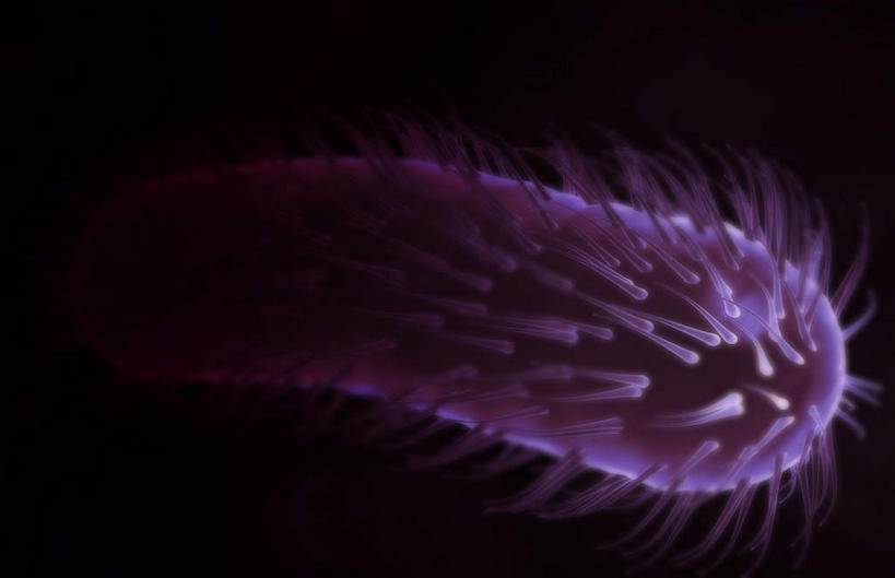 无人,横图,插画,室内,特写,白天,正面,数码,科技,静物,阴影,黑色背景,网络,细菌,医学,细胞,高光,几何,计算机图形,合成,图画,画,人体,电脑合成图,数码合成图,病毒,生物学,真菌,漫画,生理学,写实,具体,具象,鞭毛,幽门螺杆菌,彩图,感染