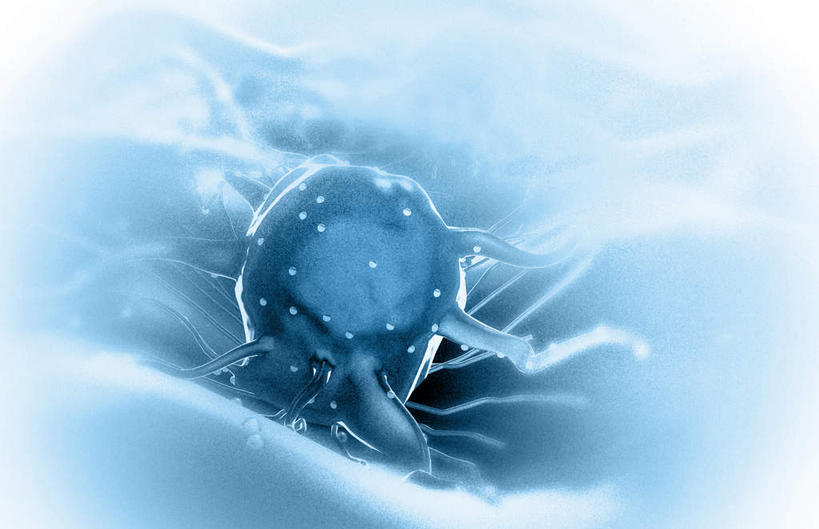 无人,横图,插画,室内,白天,白色背景,正面,数码,科技,静物,阴影,网络,医学,细胞,高光,几何,计算机图形,合成,图画,画,人体,电脑合成图,数码合成图,病毒,疾病,生物学,漫画,癌症,癌细胞,生理学,写实,具体,具象,肿瘤细胞,彩图