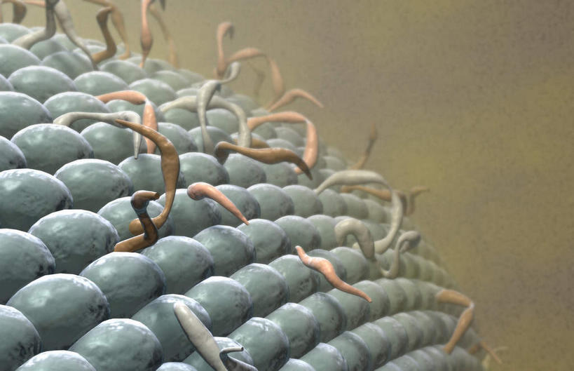 无人,横图,插画,室内,白天,白色背景,正面,数码,科技,静物,阴影,网络,医学,细胞,高光,几何,计算机图形,合成,图画,画,人体,电脑合成图,数码合成图,生物学,漫画,生理学,写实,具体,具象,细胞膜,磷脂双分子层,糖脂,彩图