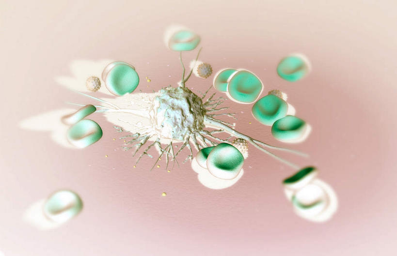 无人,横图,插画,室内,白天,白色背景,正面,数码,科技,静物,阴影,网络,医学,细胞,高光,几何,计算机图形,合成,图画,画,人体,电脑合成图,数码合成图,病毒,生物学,漫画,癌症,生理学,写实,具体,具象,白血病,血癌,彩图