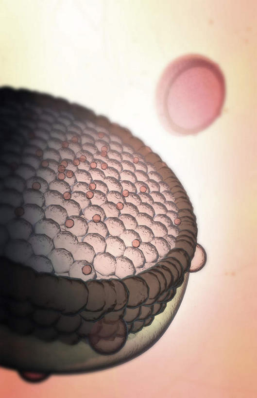 无人,竖图,插画,室内,白天,白色背景,正面,数码,科技,静物,阴影,网络,医学,细胞,高光,几何,计算机图形,合成,图画,画,人体,电脑合成图,数码合成图,生物学,蛋白质,漫画,生理学,写实,具体,具象,胆固醇,低密度脂蛋白,脂蛋白,彩图