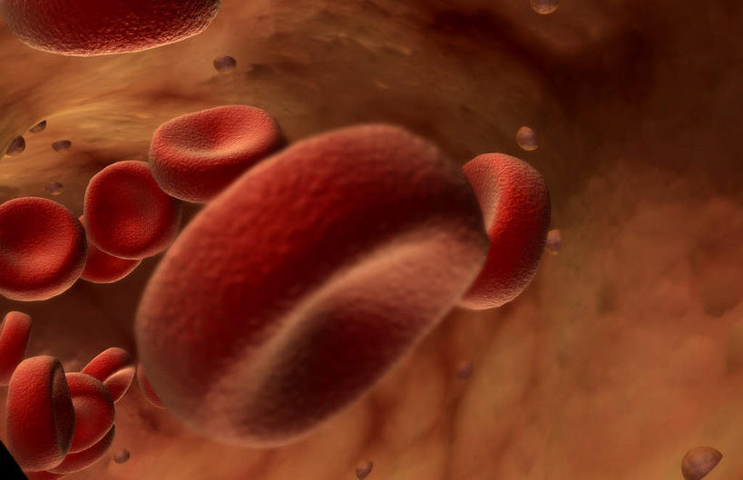 无人,横图,插画,室内,白天,白色背景,正面,数码,科技,静物,阴影,网络,医学,细胞,高光,几何,计算机图形,合成,图画,画,血液,人体,电脑合成图,数码合成图,生物学,血细胞,漫画,白细胞,生理学,写实,具体,具象,红细胞,彩图