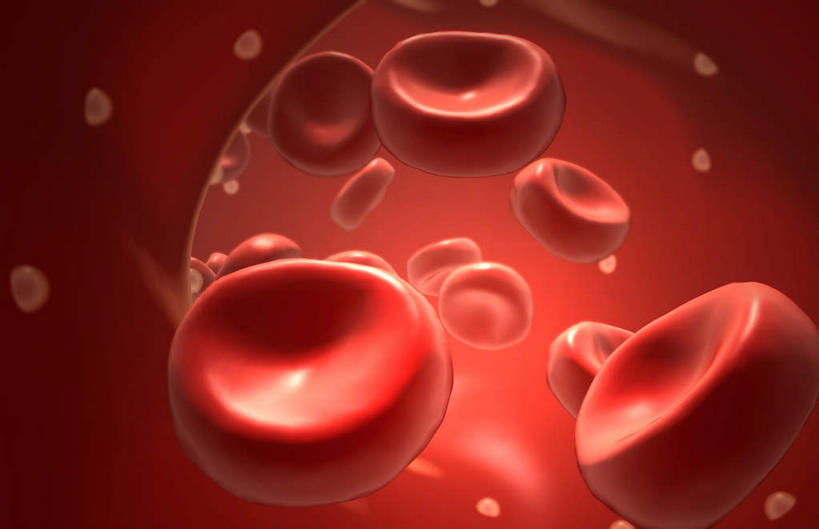 无人,横图,插画,室内,白天,白色背景,正面,数码,科技,静物,阴影,网络,医学,细胞,高光,几何,计算机图形,合成,图画,画,血液,人体,电脑合成图,数码合成图,生物学,血细胞,漫画,白细胞,生理学,写实,具体,具象,红细胞,彩图