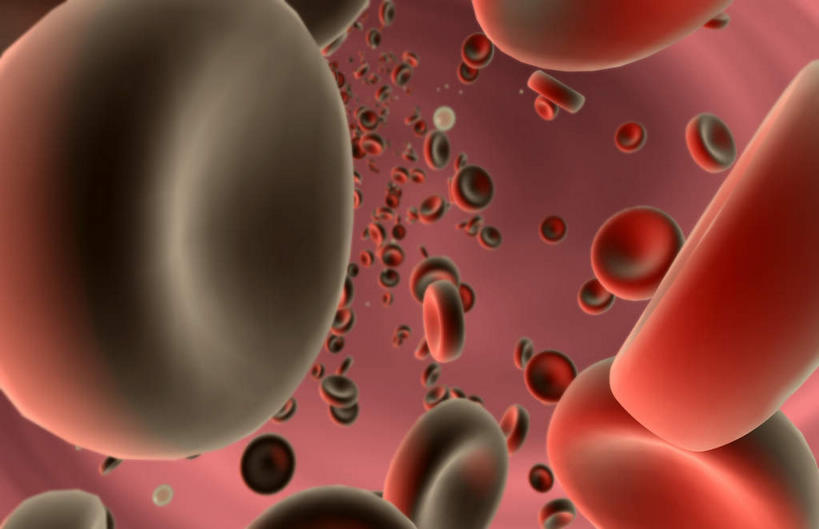 无人,横图,插画,室内,白天,白色背景,正面,数码,科技,静物,阴影,网络,医学,细胞,高光,几何,计算机图形,合成,图画,画,血液,人体,电脑合成图,数码合成图,生物学,血细胞,漫画,白细胞,生理学,写实,具体,具象,红细胞,彩图