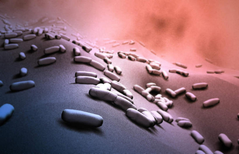 无人,横图,插画,室内,白天,白色背景,正面,数码,科技,静物,阴影,网络,医学,细胞,高光,几何,计算机图形,合成,图画,画,人体,电脑合成图,数码合成图,生物学,漫画,生理学,写实,具体,具象,枯草芽孢杆菌,蜡样芽孢杆菌,肉毒杆菌,破伤风,炭疽,彩图