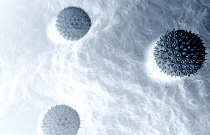 无人,横图,插画,室内,白天,白色背景,正面,数码,科技,静物,阴影,网络,医学,高光,几何,计算机图形,合成,图画,画,人体,电脑合成图,数码合成图,生物学,漫画,花粉,过敏,生理学,写实,具体,具象,过敏反应,花粉症,过敏症,彩图