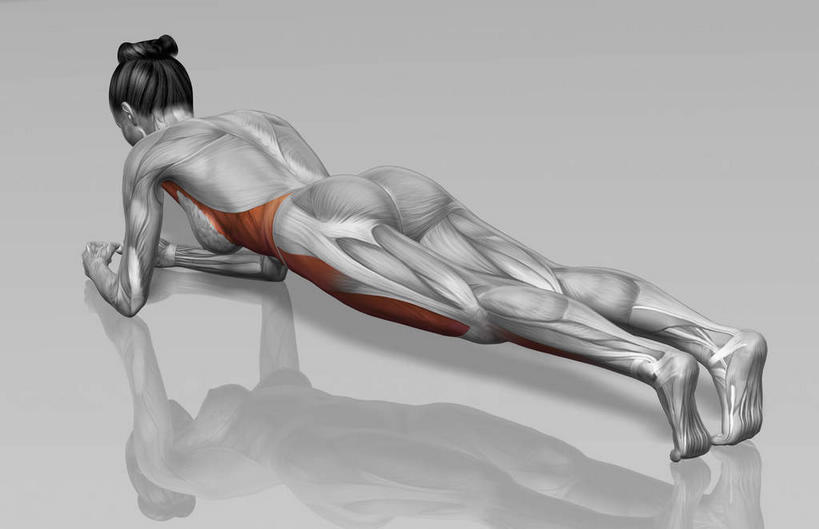 西方人,肌肉,健壮,一个人,无人,健身房,横图,俯视,插画,室内,白天,白色背景,数码,科技,欧洲,欧洲人,仅一个年轻女性,仅一个女性,仅一个人,撑,阴影,网络,高光,几何,计算机图形,合成,图画,画,趴着,健康,活力,力量,青春,电脑合成图,数码合成图,撑着,强壮,胸肌,漫画,写实,具体,具象,三角肌,腹外斜肌,腹直肌,肌肉训练,重量训练,年轻女性,女人,女性,白种人,趴,彩图,高角度拍摄,全身,健身馆