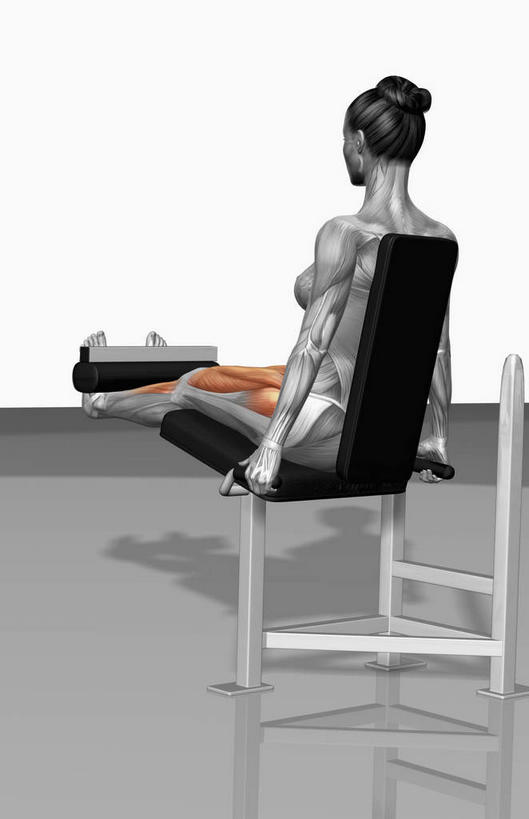 西方人,一个人,无人,健身房,坐,竖图,插画,室内,白天,白色背景,数码,科技,欧洲,欧洲人,仅一个年轻女性,仅一个女性,仅一个人,阴影,网络,高光,几何,计算机图形,合成,图画,运动器械,画,背面,健身器械,电脑合成图,数码合成图,健身器材,漫画,写实,具体,具象,股四头肌,股外侧肌,胫骨前肌,股直肌,肌肉训练,重量训练,年轻女性,女人,女性,白种人,坐着,彩图,全身,健身馆,运动器材