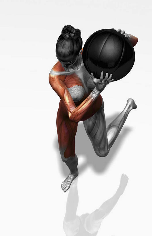 西方人,肌肉,健壮,一个人,无人,健身房,站,举,竖图,俯视,插画,室内,白天,白色背景,数码,科技,欧洲,欧洲人,仅一个年轻女性,仅一个女性,仅一个人,握,阴影,网络,高光,几何,计算机图形,拿,合成,图画,拿着,运动器械,画,一个,托,站着,健康,健身器械,健身球,活力,力量,握着,单个,青春,瑜伽球,电脑合成图,数码合成图,强壮,健身器材,漫画,写实,具体,具象,二头肌,三角肌,股外侧肌,四头肌,股直肌,内收长肌,肌肉训练,重量训练,年轻女性,女人,女性,白种人,举起,举手,举着,向上举,向上伸,向上托,站立,彩图,高角度拍摄,全身,健身馆,运动器材