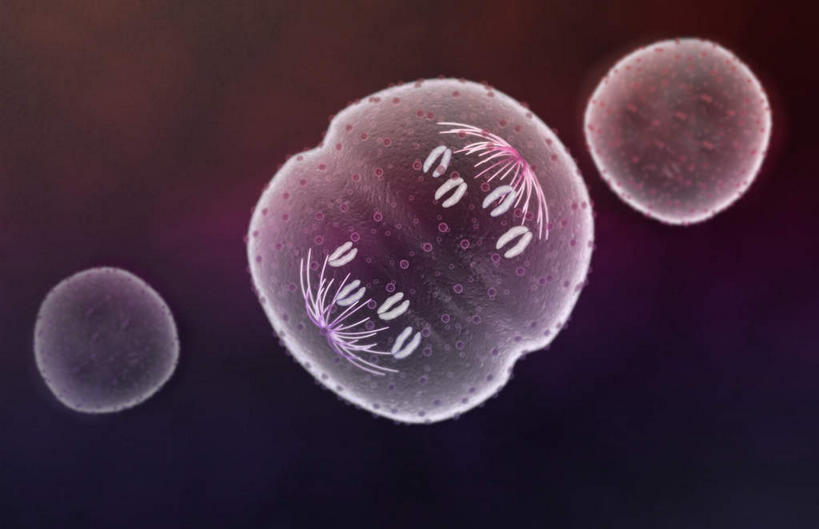 无人,横图,插画,室内,白天,正面,数码,科技,静物,阴影,黑色背景,网络,医学,细胞,高光,几何,计算机图形,合成,图画,画,人体,电脑合成图,数码合成图,生物学,破裂,分裂,漫画,生理学,写实,具体,具象,细胞分裂,有丝分裂,割裂,盘据,彩图,决裂