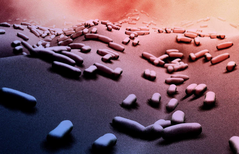 无人,横图,插画,室内,白天,白色背景,正面,数码,科技,静物,阴影,网络,医学,细胞,高光,几何,计算机图形,合成,图画,画,人体,电脑合成图,数码合成图,生物学,漫画,生理学,写实,具体,具象,枯草芽孢杆菌,蜡样芽孢杆菌,肉毒杆菌,破伤风,炭疽,彩图