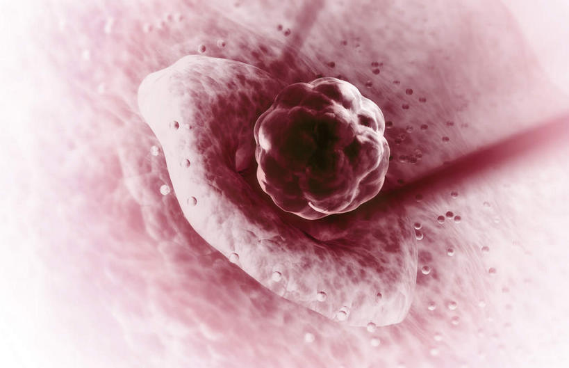 卵巢,子宫,无人,横图,插画,室内,白天,白色背景,正面,数码,科技,静物,阴影,网络,医学,高光,几何,计算机图形,合成,图画,画,人体,电脑合成图,数码合成图,月经,生物学,卵子,漫画,生理学,写实,具体,具象,卵泡,彩图